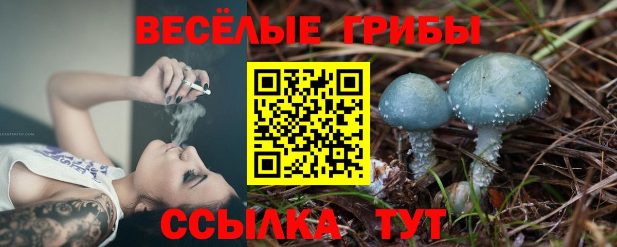 Павловский Посад  Галлюциногенные грибы ЛСД  Вход с VPN 
